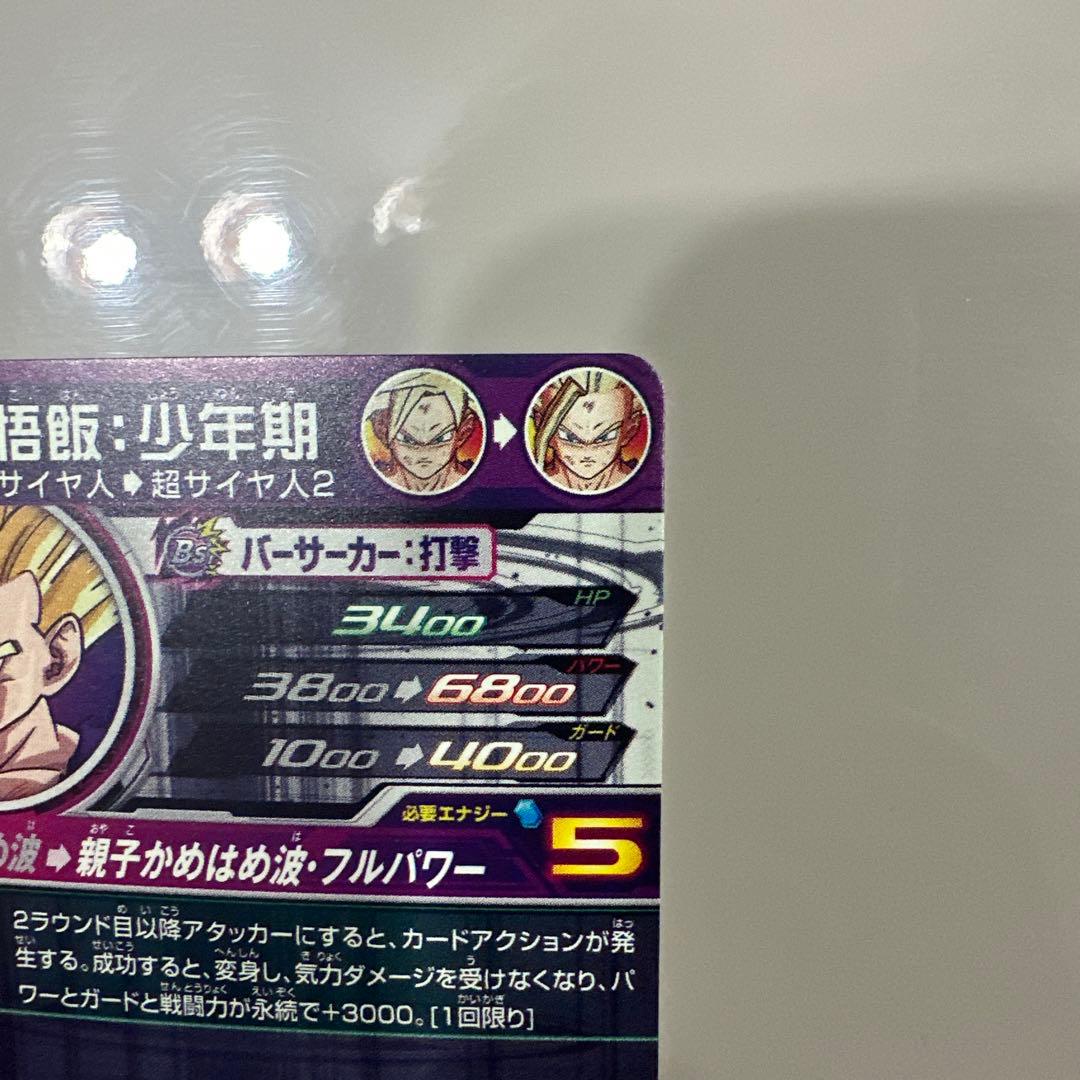 UM12-SEC3LC孫悟飯少年期