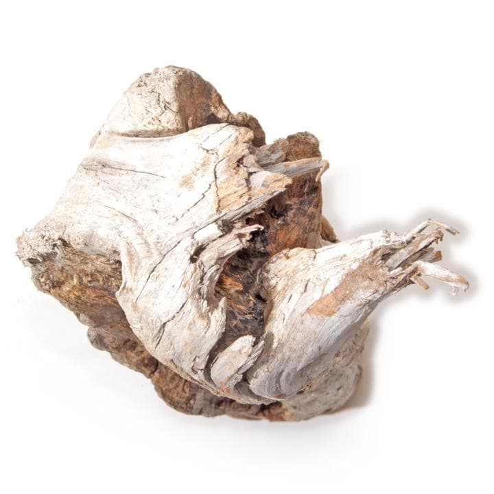 流木 インテリア レイアウト 51cm DIY 流木アート 天然 rybk9
