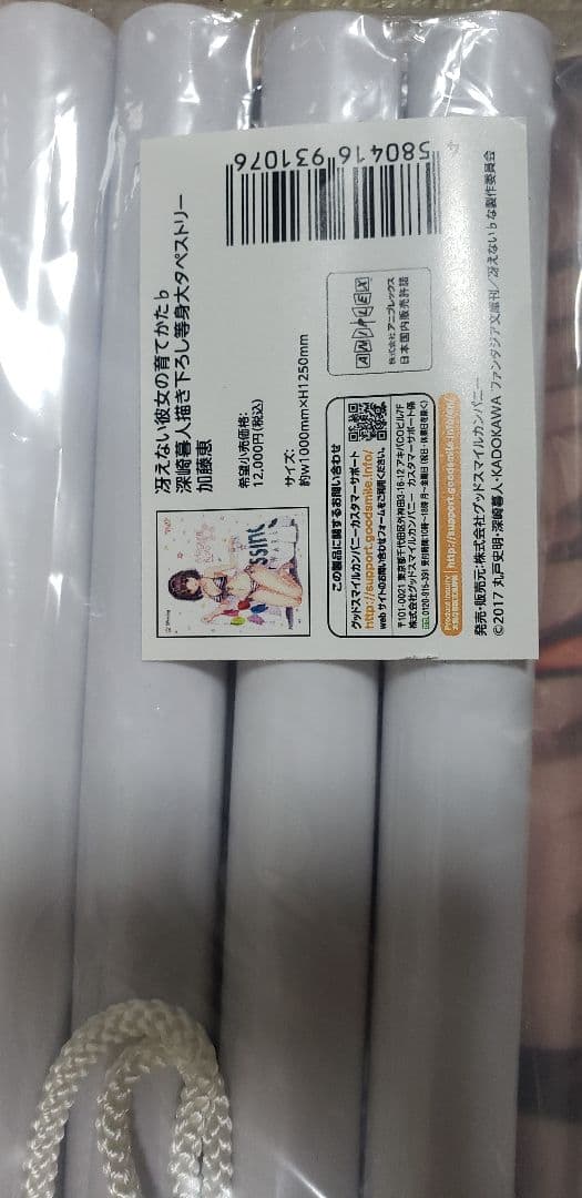 希少 冴えない彼女の育て方 水着等身大 タペストリーセット 絶版