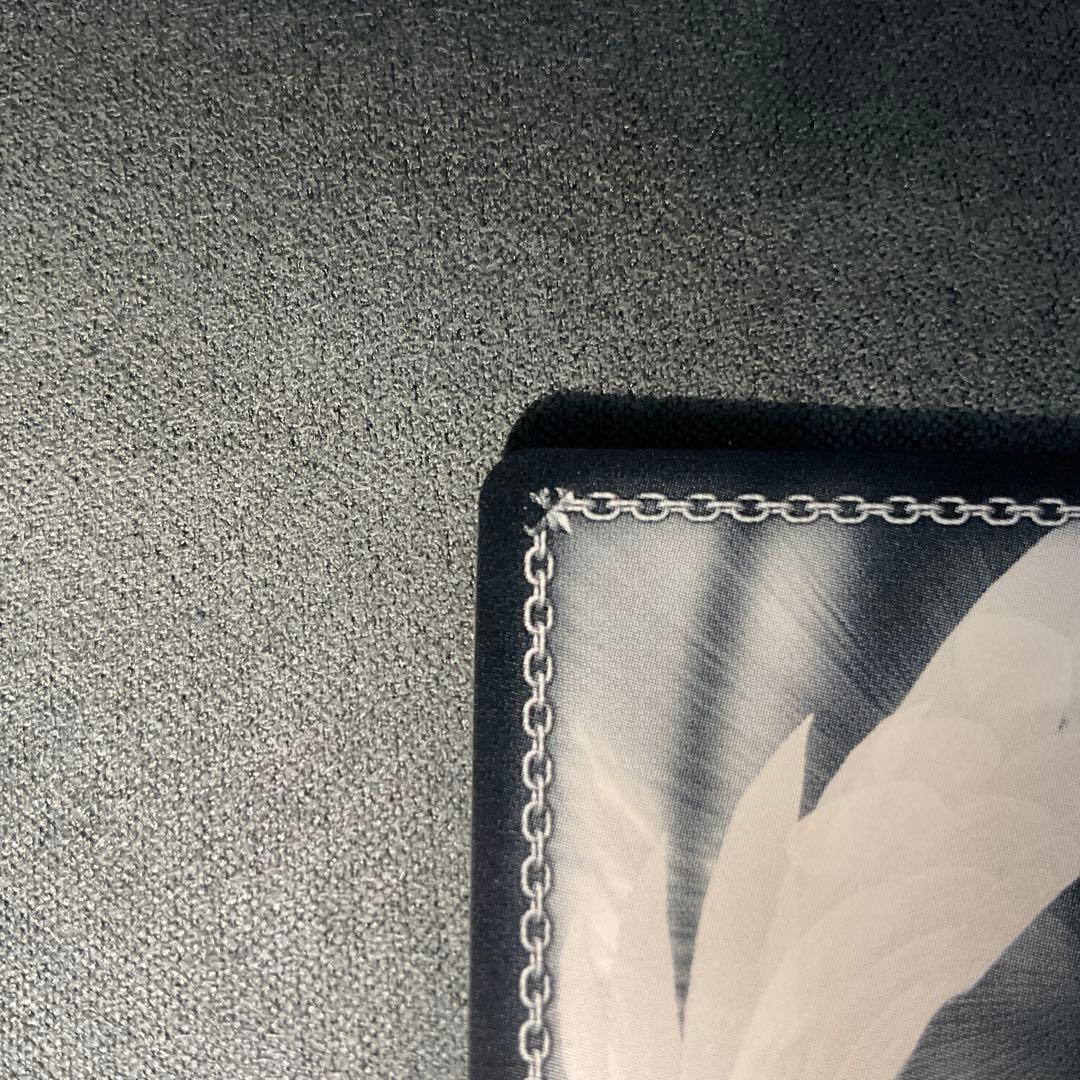 WS ヴァイス 電撃文庫 ネガネビュラス　黒雪姫　SP サイン