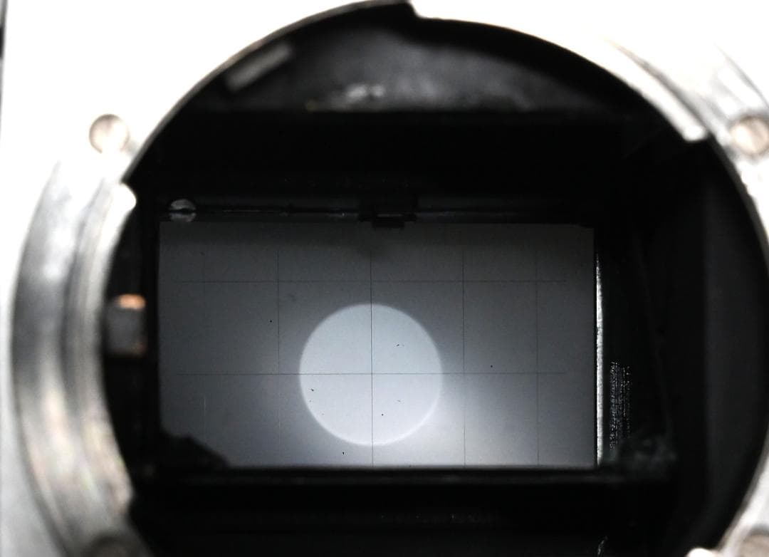 フィルムカメラ Nikon F