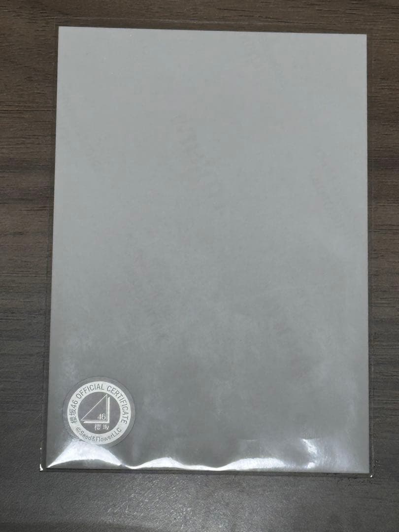 幸阪茉里乃 サンタ衣装 直筆サイン入り生写真