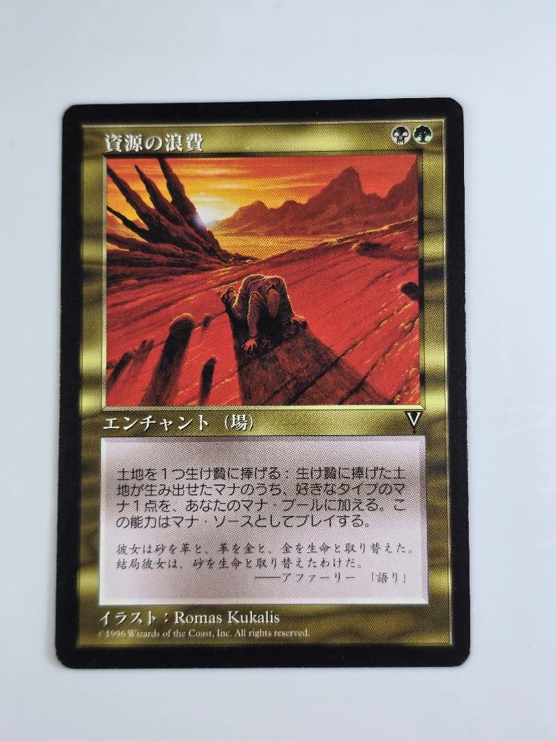 資源の浪費/Squandered Resources VIS　日本語、１枚