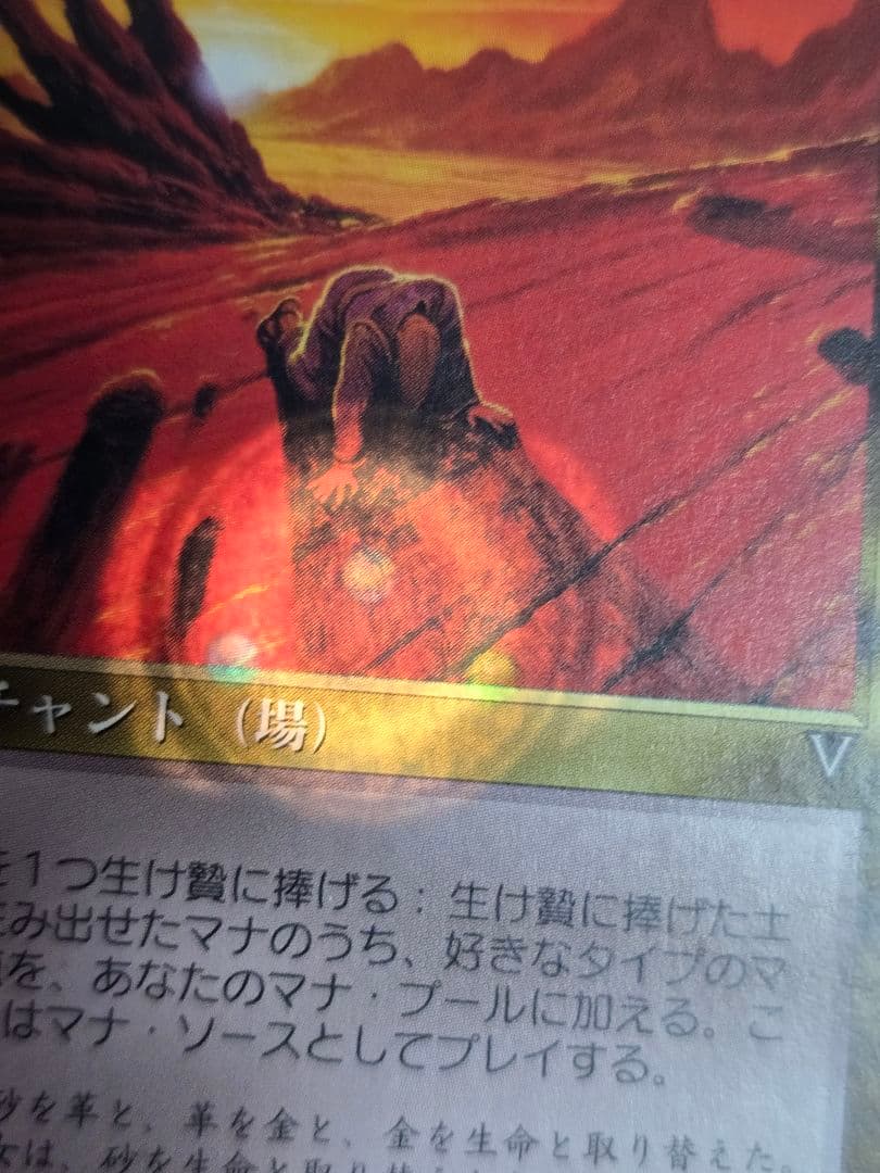 資源の浪費/Squandered Resources VIS　日本語、１枚