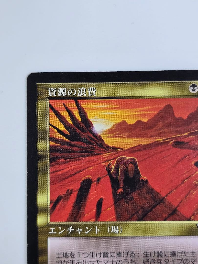 資源の浪費/Squandered Resources VIS　日本語、１枚