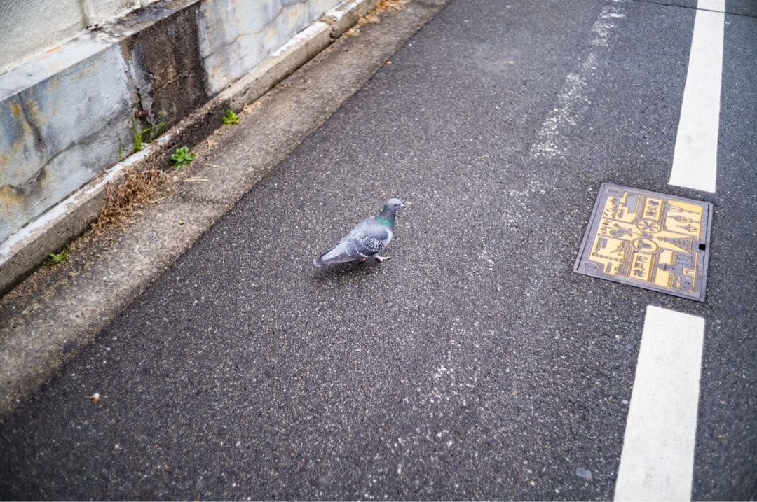 ライカ ズミクロン summicron35/2.0 6枚玉