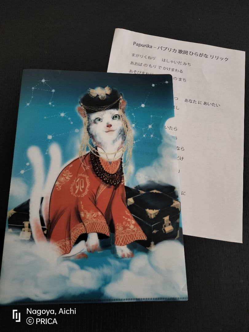 [SALE 29.999 --> 19.999]クリアファイルA4 100 枚