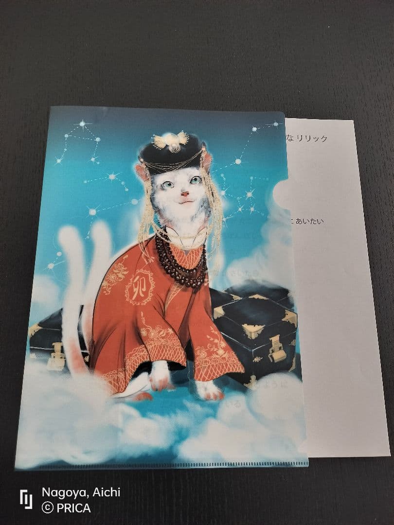 [SALE 29.999 --> 19.999]クリアファイルA4 100 枚