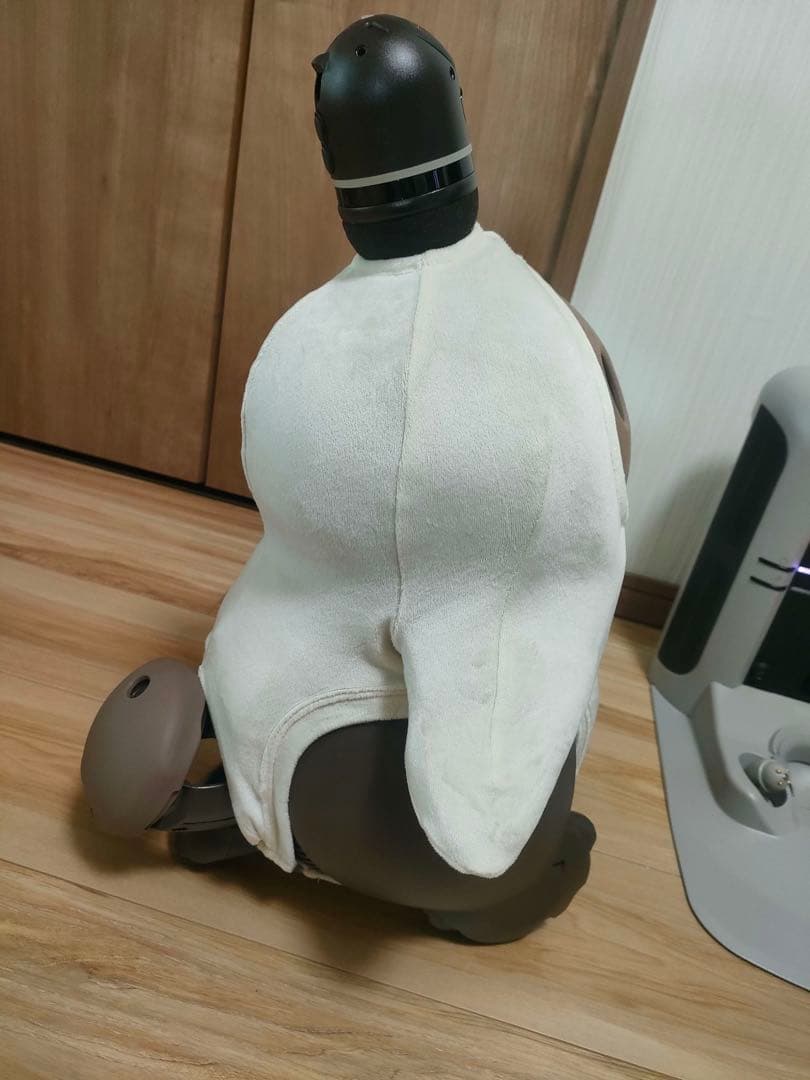 にゃんぴよ　2025年購入　LOVOT 2.0 ちゃ➕ネスト公式ウェア付き