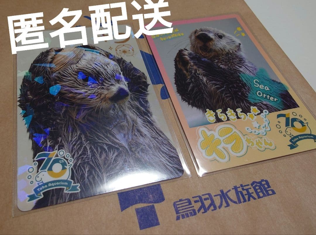 ラッコのキラちゃん　トレカ2枚セット（レア、ノーマル）