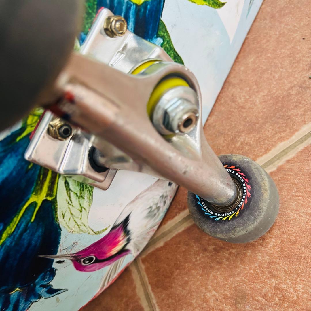 PRIMITIVE スケートボード コンプリートセット 8.0インチ