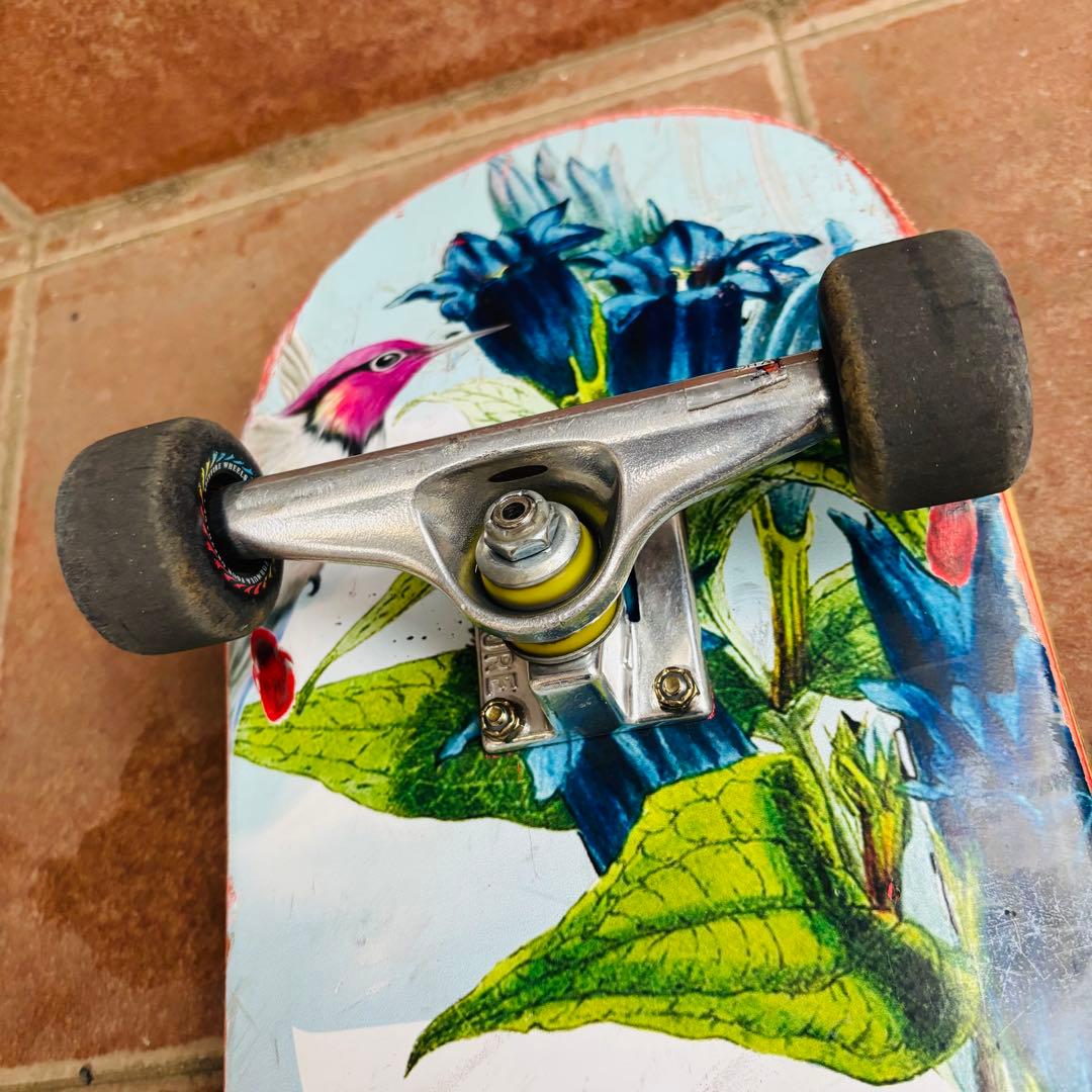 PRIMITIVE スケートボード コンプリートセット 8.0インチ