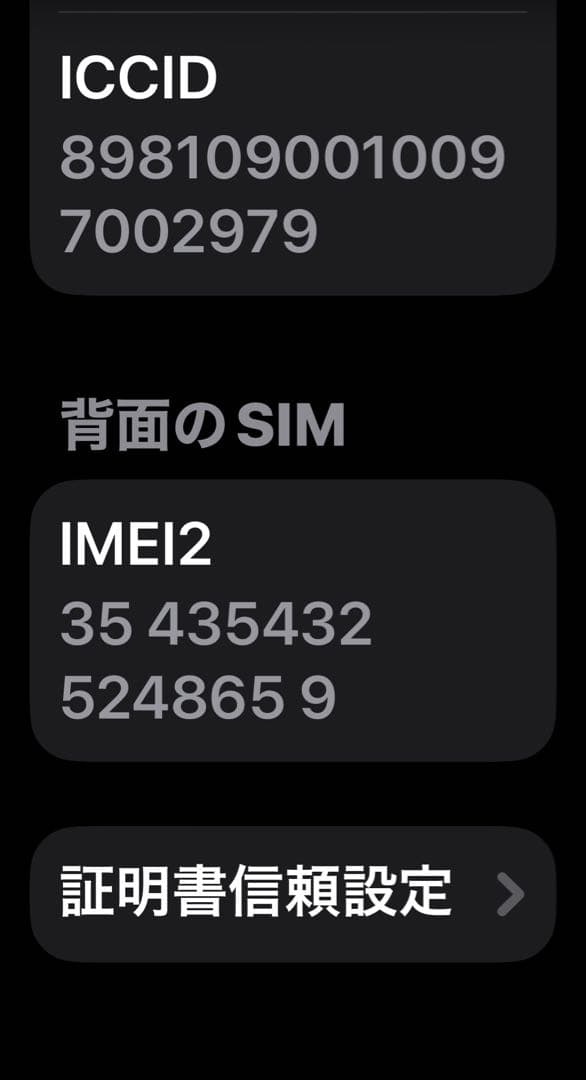 海外版 物理SIM iPhone 17 Pro Deep Blue 512GB