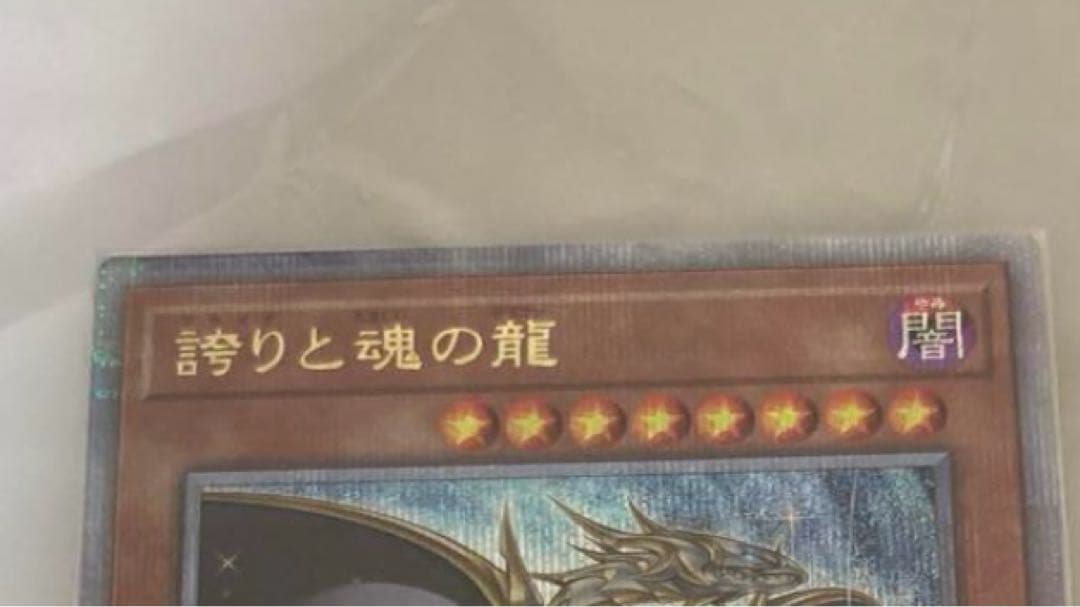 誇りと魂の龍　25th 日版