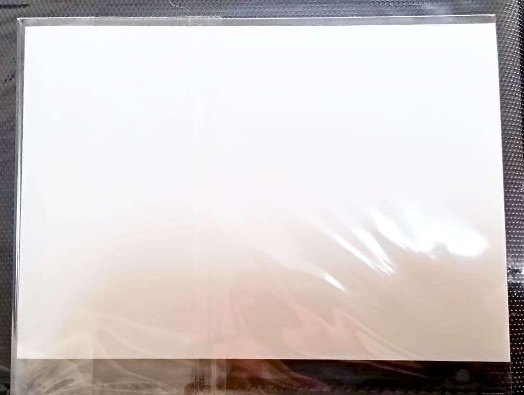 鬼滅の刃 栗花落カナヲ ブロマイド ネットプリント