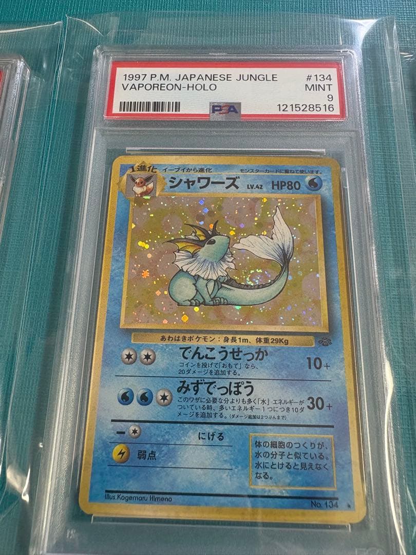 旧裏　PSA シャワーズ　サンダース　ブースター　ブイズ３枚セット