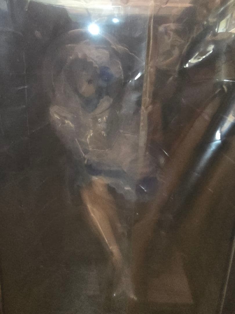 FURYU フリュー リゼロ レム ラム ゴシック Gothic セット