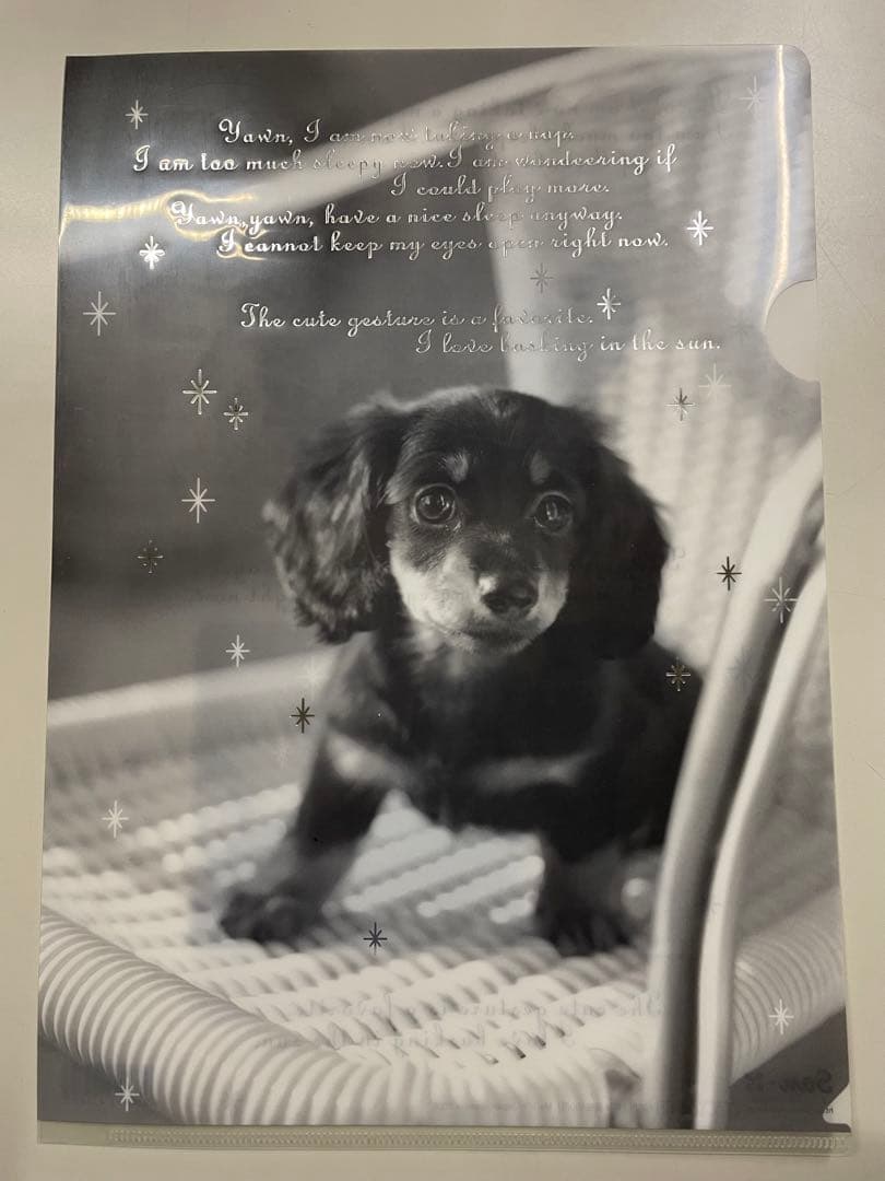 平成レトロ　サンエックス　クリアファイル　犬　8枚セット