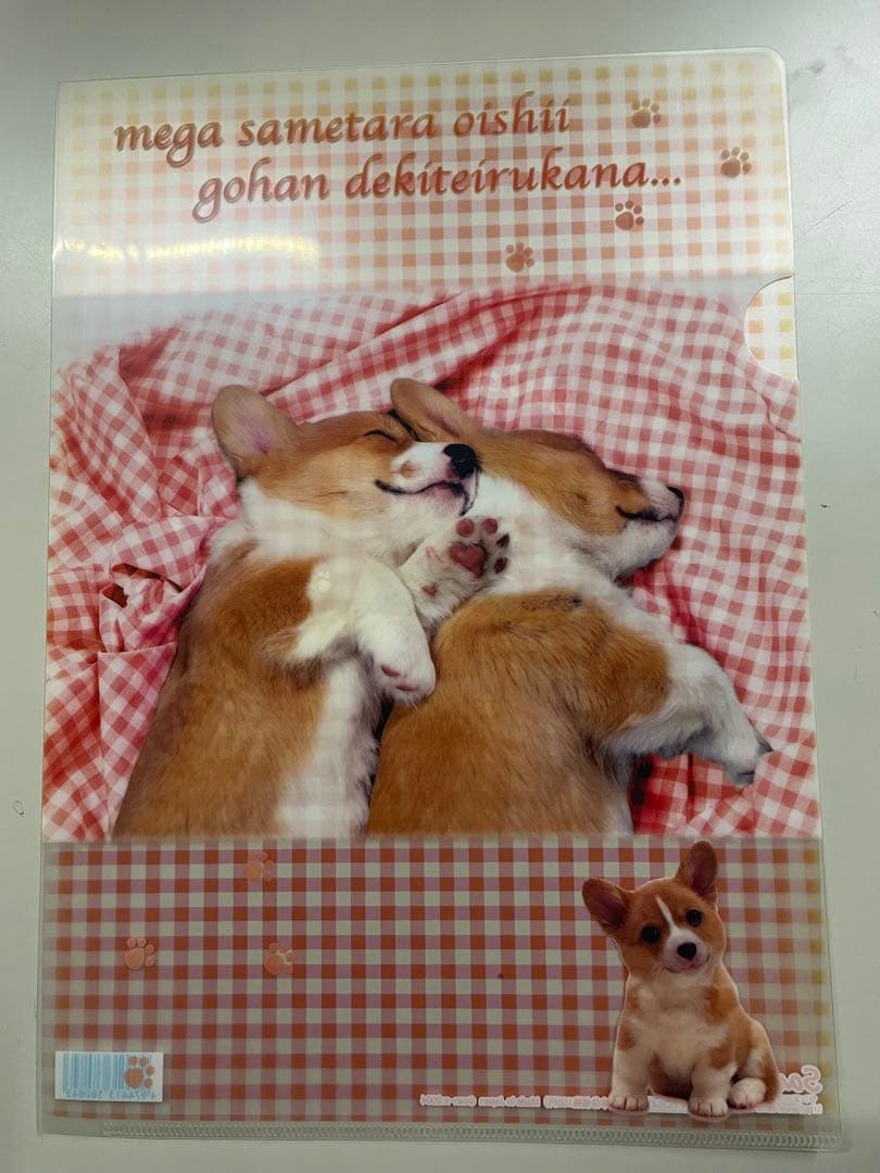 平成レトロ　サンエックス　クリアファイル　犬　8枚セット