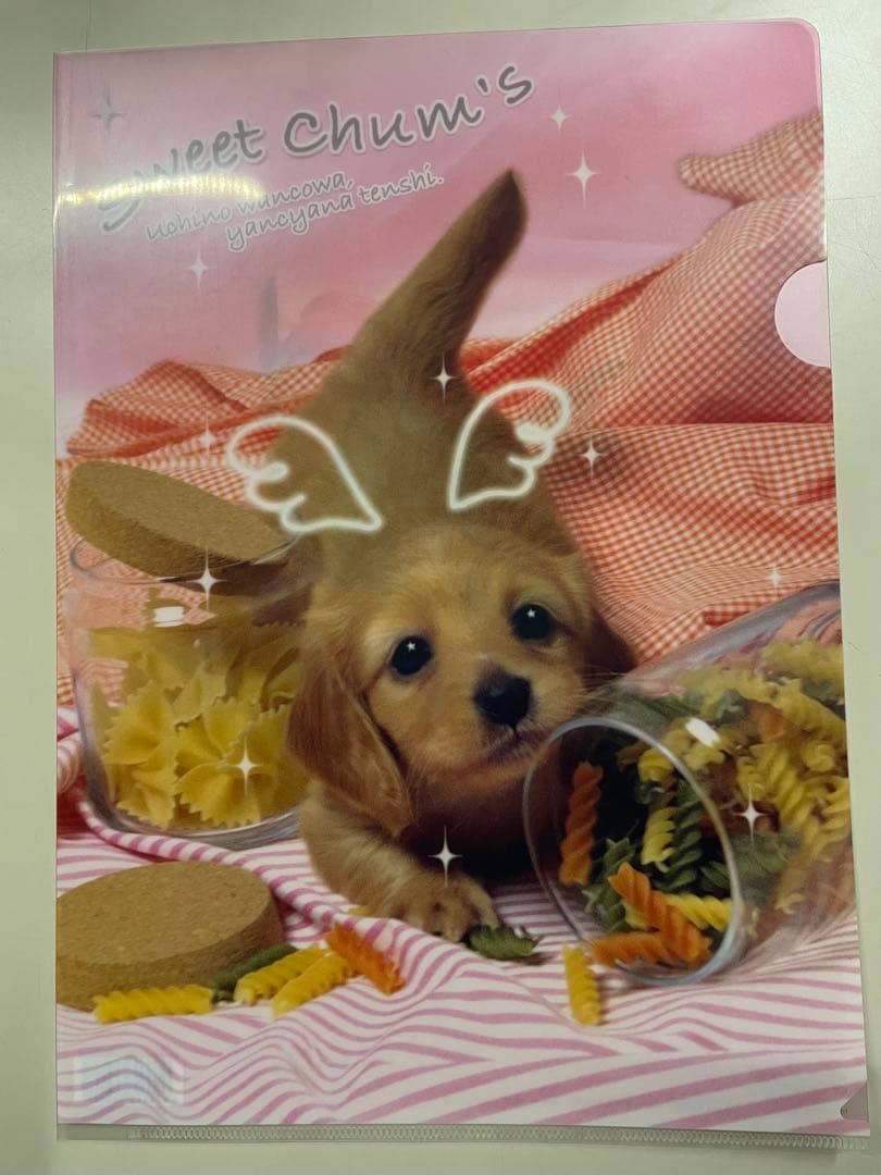 平成レトロ　サンエックス　クリアファイル　犬　8枚セット