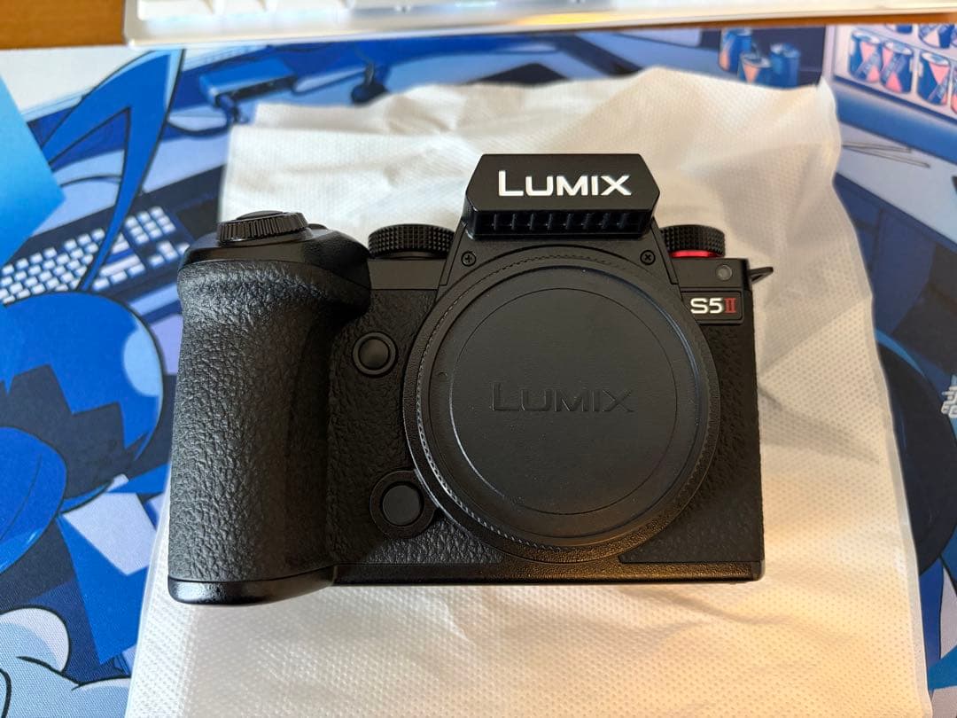 Panasonic Lumix S5Ⅱ (DC-S5M2)多数オプション＋保証書