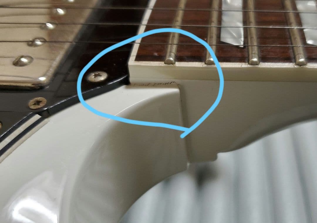 FGN NSG100-SW[カリマンタン・エボニー指板]