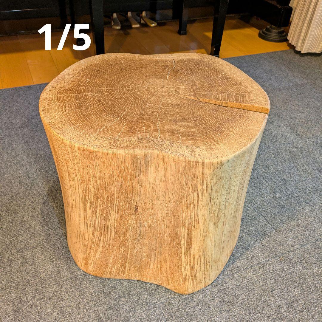 3104　　ミズナラ　水楢　天然木　切り株　丸太　輪切り　高さ約28㎝