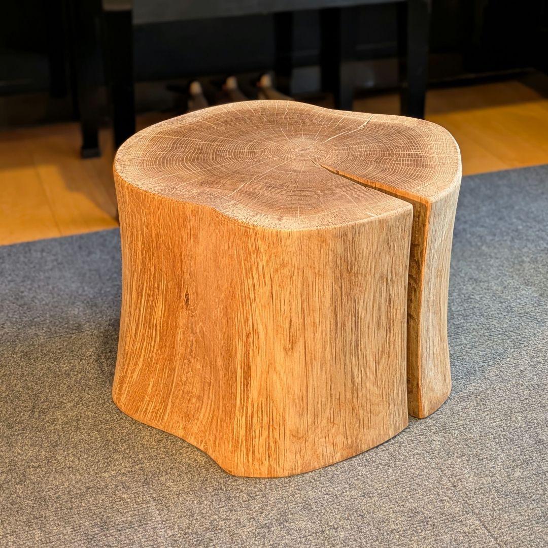 3104　　ミズナラ　水楢　天然木　切り株　丸太　輪切り　高さ約28㎝