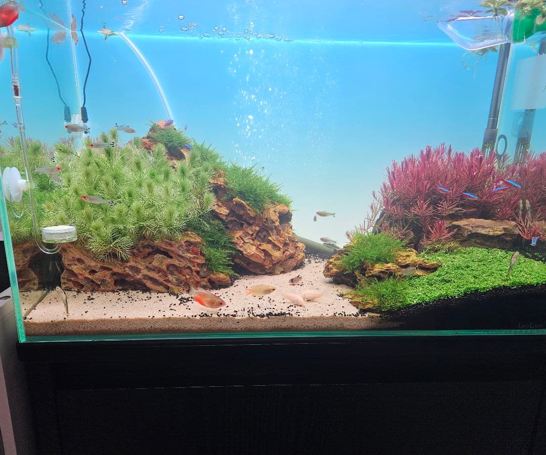 60cm水槽用　バックライト