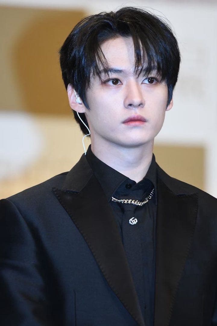 straykids スキズ　リノ　直筆サイン　チェキ　トレカ　カード　B賞