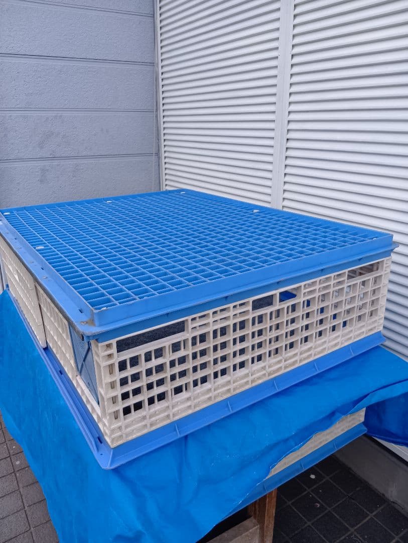 放鳩籠　コンテナ　レース鳩　移送　搬送　輸送　愛鳩の友　コンテナー　キャディーB