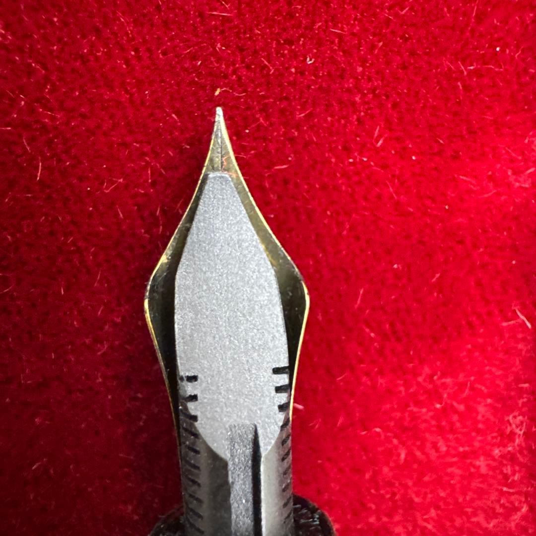 PLATINUM 万年筆 黒と金のストライプ