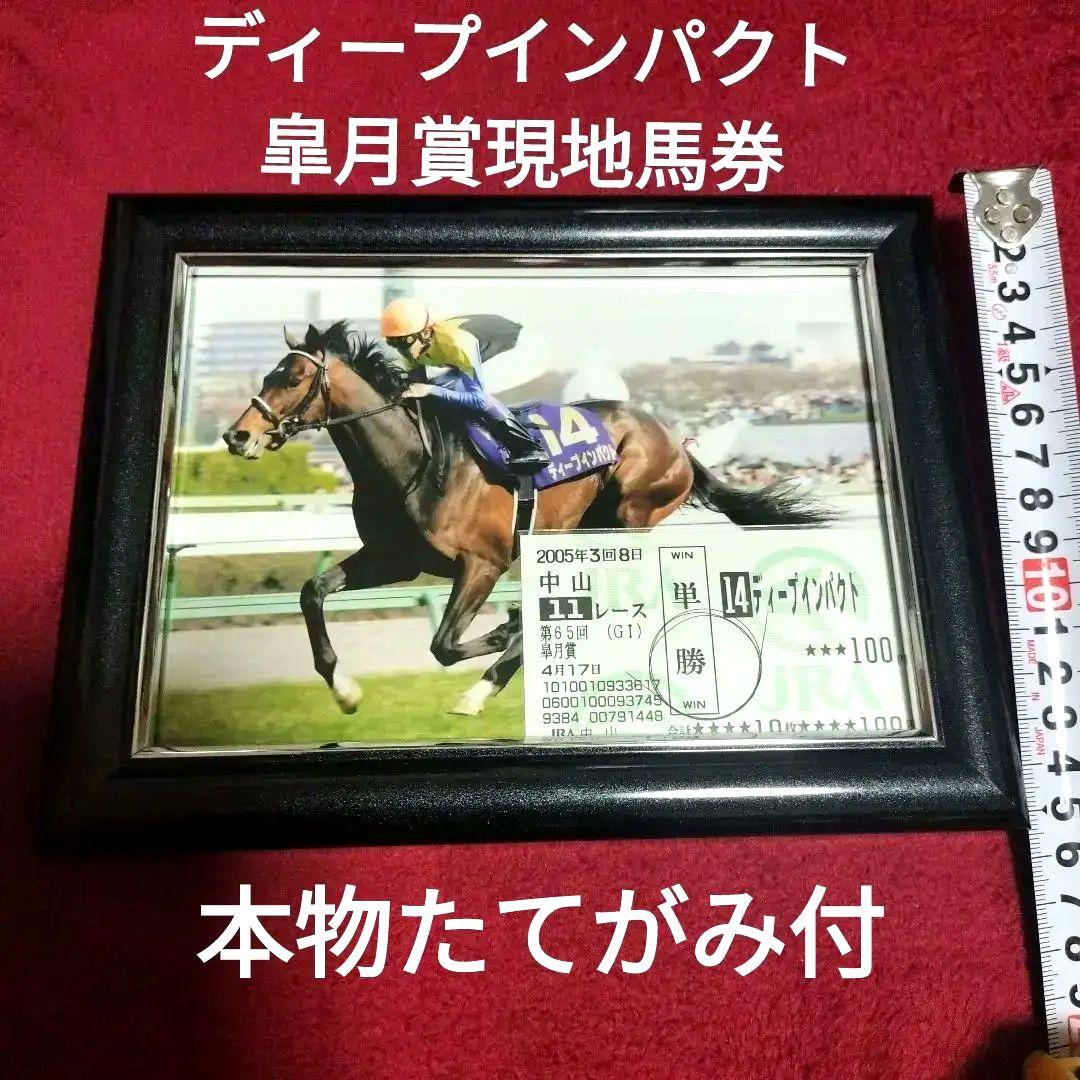 ディープインパクト 皐月賞勝利 現地馬券 写真額縁 本物たてがみ セット