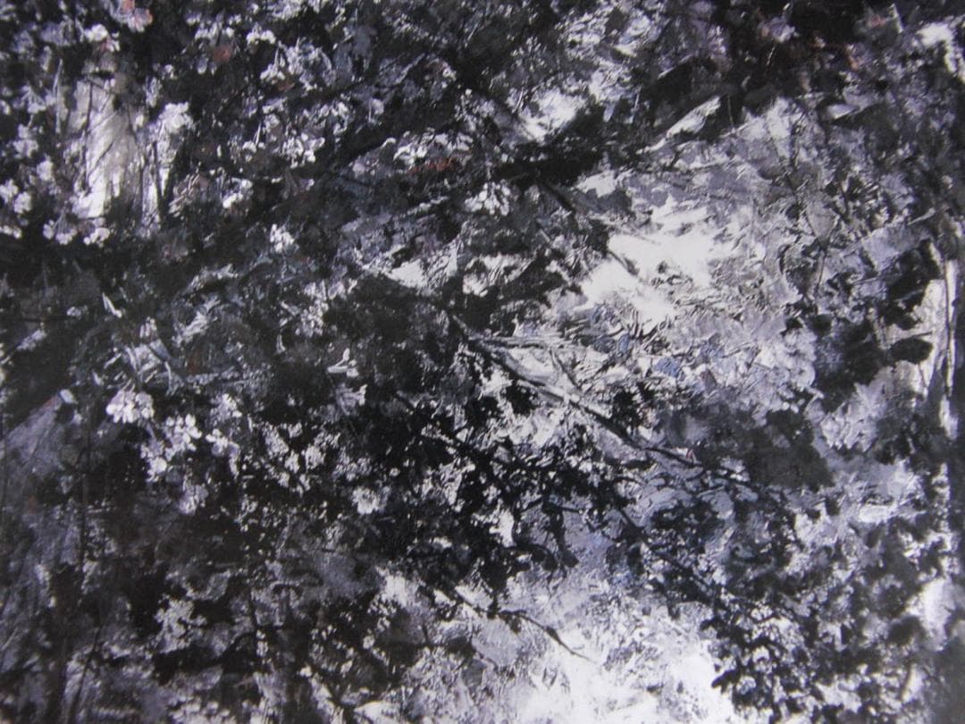 やち美保子、【山桜 II】、希少な額装用画集より、新品額装付