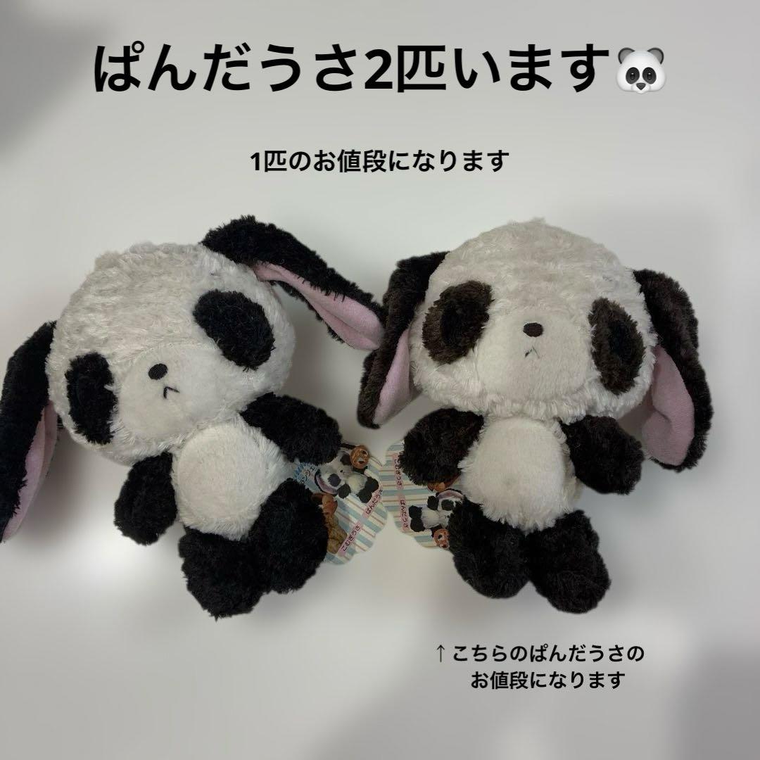 Sugarbunnies ぬいぐるみ　ぱんだうさ　Sanrio サンリオ