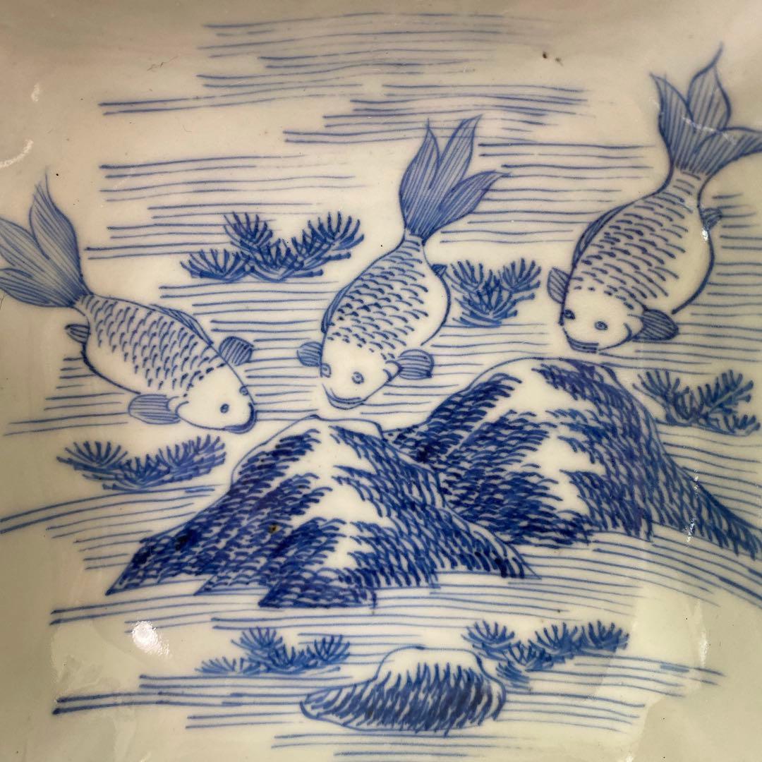 金魚絵図 四角鉢