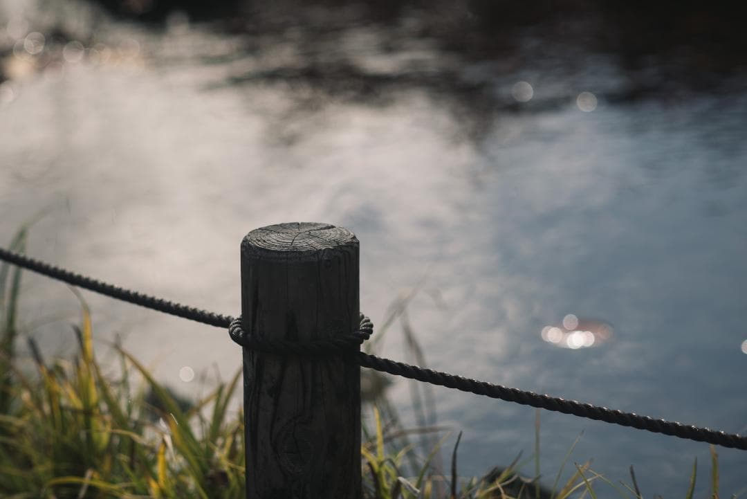 ライカの初の望遠！Leica Telyt 200mm F4.5 オールドレンズ