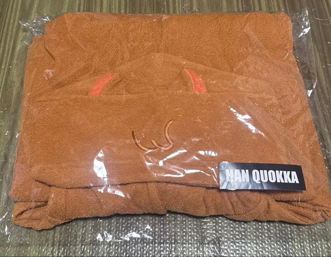 straykids jyp pop-up HAN ハンクウォッカ　ポンチョ