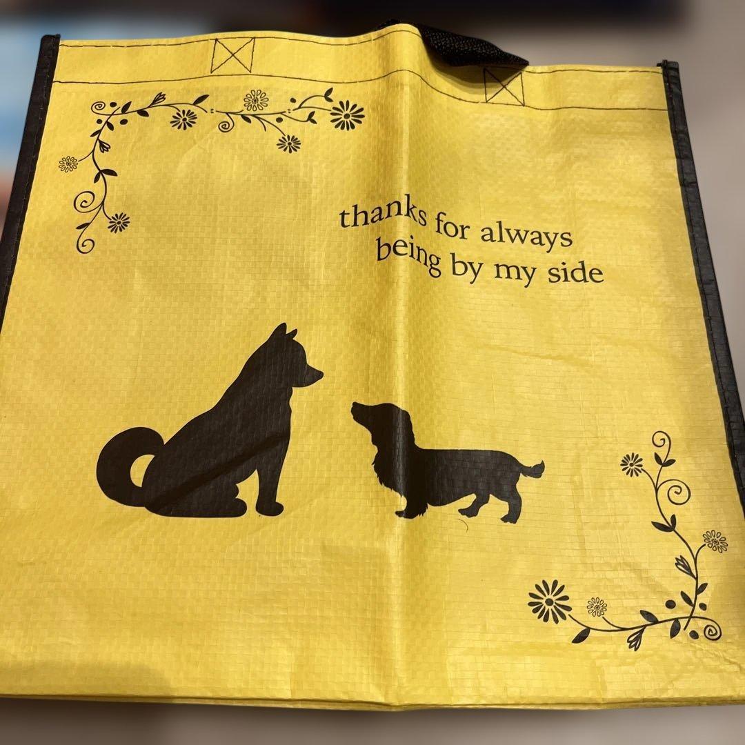 専用エコバッグ