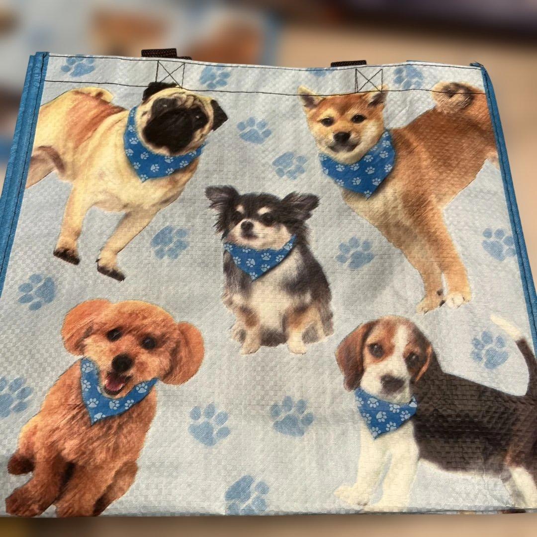 専用エコバッグ