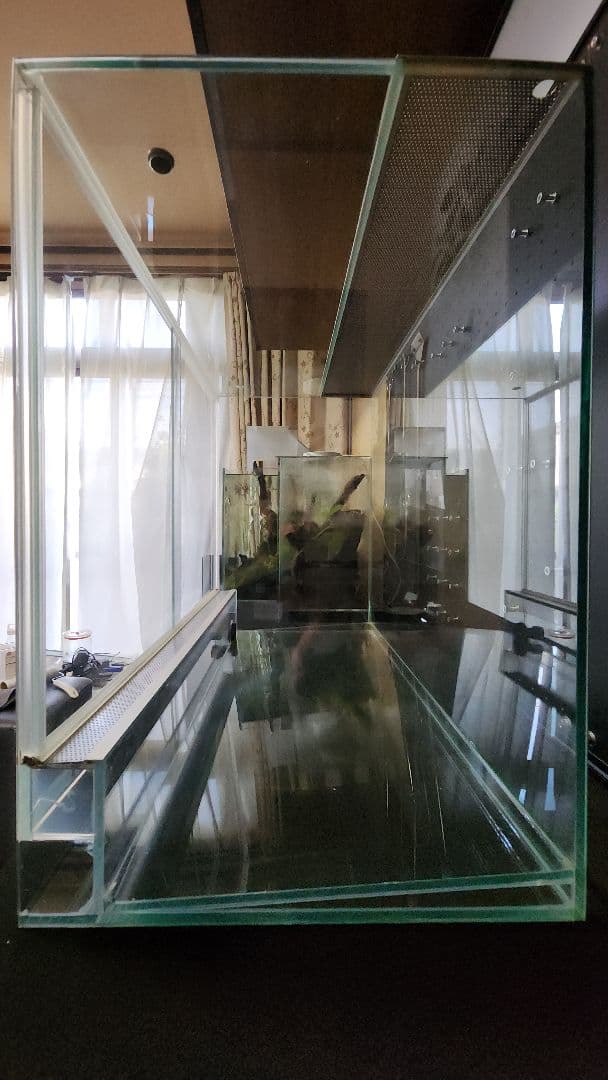 Rainforest 600×300×450