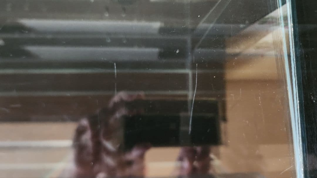 Rainforest 600×300×450