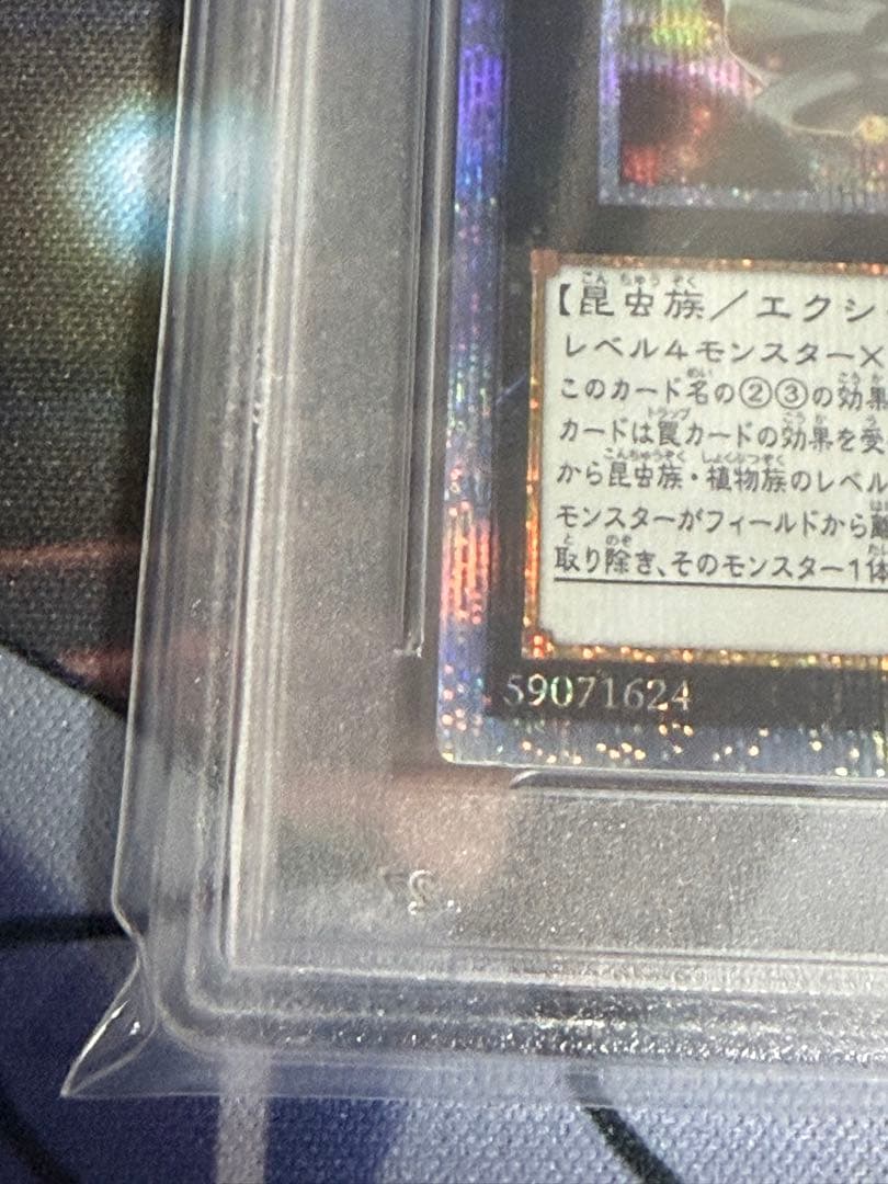 PSA10遊戯王 アロメルスの蟲惑魔 20th シークレットレア