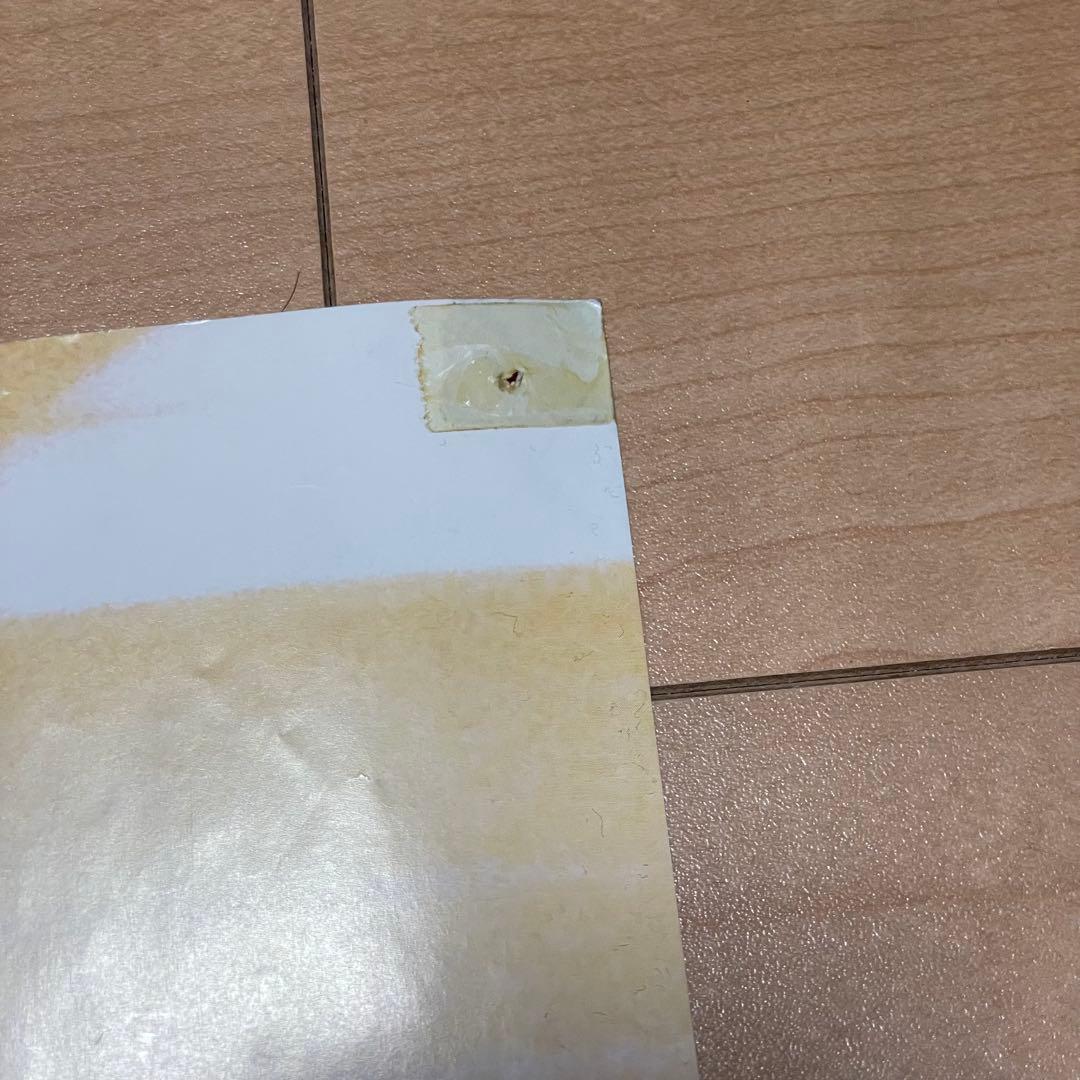 BLUR ブラー リバーシブルポスター