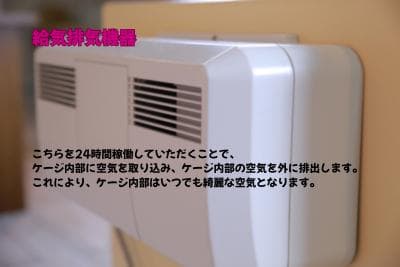 新品未使用｜防音ケージ｜小型犬向け｜キャスター付き｜ヒノキ材｜004