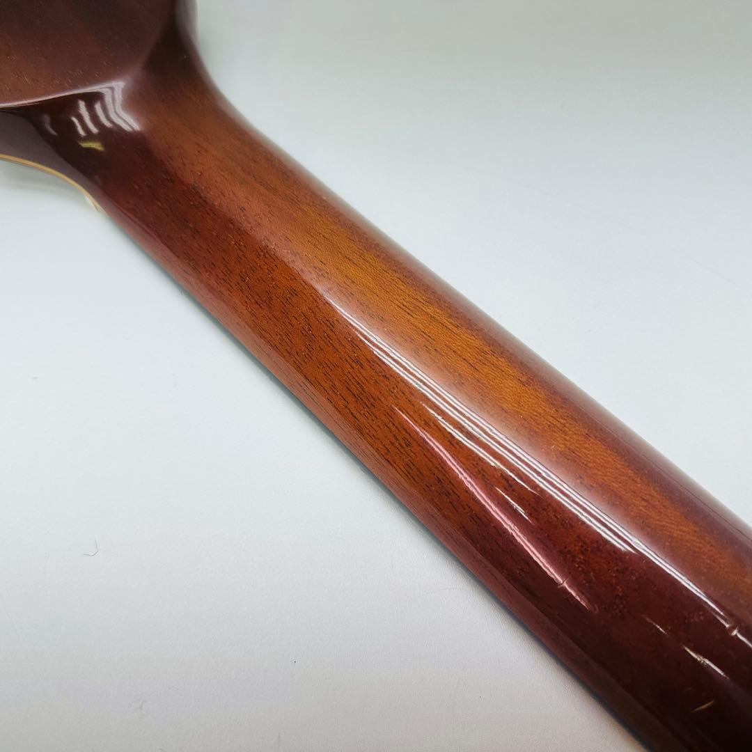 YAMAHA エレガット　APX-10CN