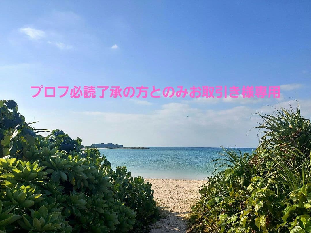 新品ステンレスＬケージ　短面