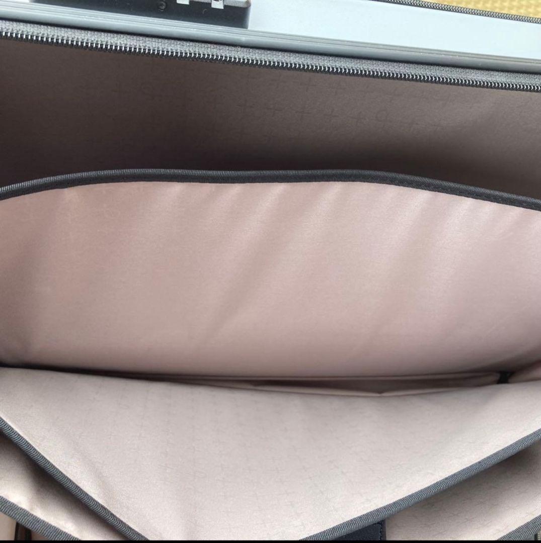 PROTECA MAXPASS BIZ 37l 廃盤 シルバー キャリー ケース