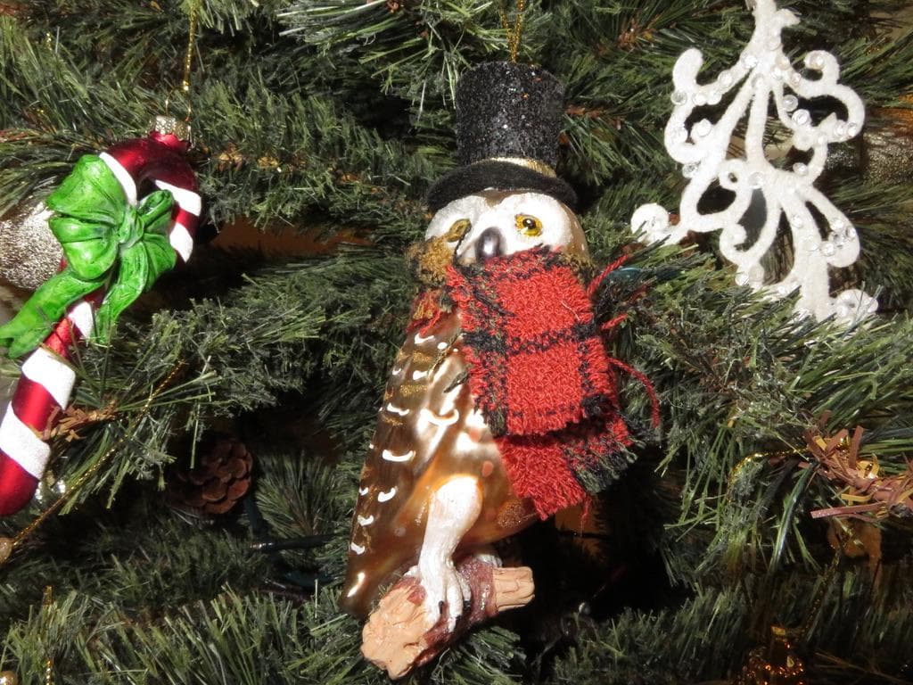 ❤️極美品　Canon 　PowerShot SX720 HS SDカード付