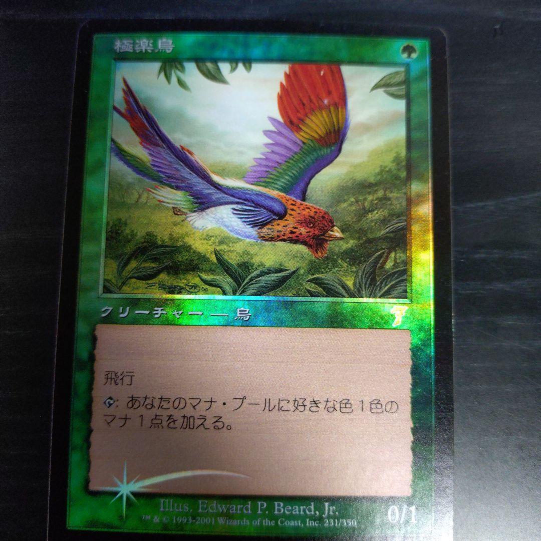 極楽鳥　七版　日本語　foil